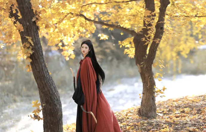 BT下载技术示意图